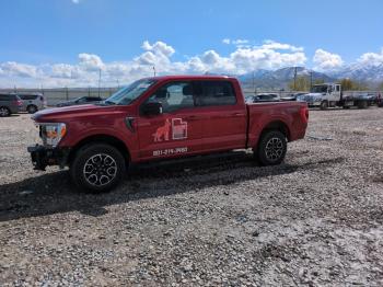  Salvage Ford F-150