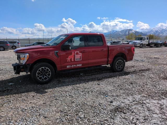  Salvage Ford F-150