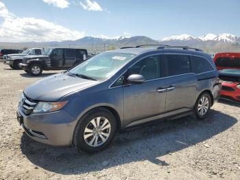  Salvage Honda Odyssey