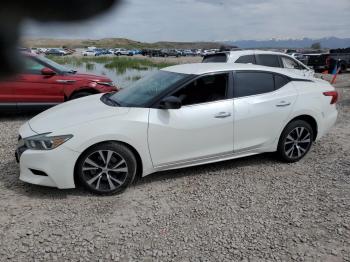 Salvage Nissan Maxima