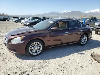  Salvage Nissan Maxima
