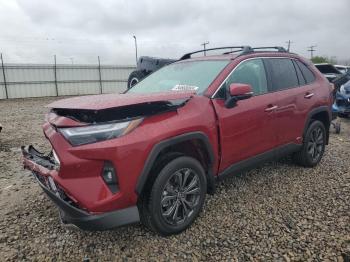  Salvage Toyota RAV4