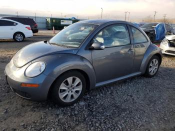  Salvage Volkswagen Beetle