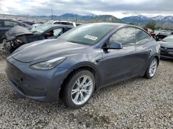  Salvage Tesla Model Y