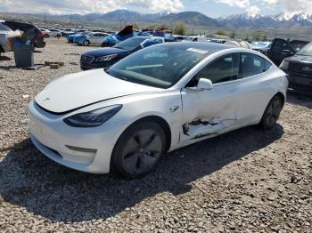  Salvage Tesla Model 3