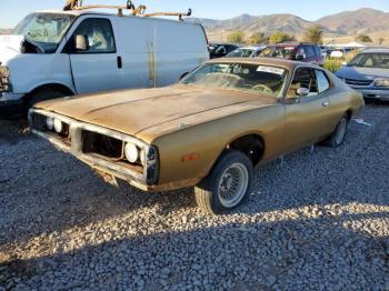  Salvage Dodge Charger