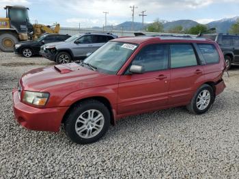  Salvage Subaru Forester