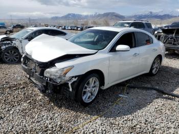 Salvage Nissan Maxima