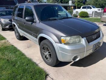  Salvage Ford Escape