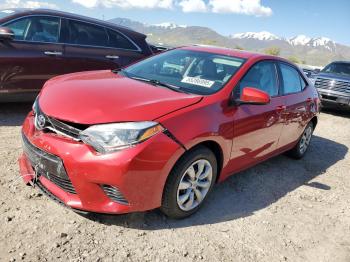  Salvage Toyota Corolla