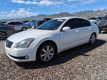  Salvage Nissan Maxima