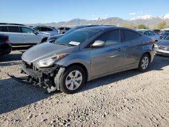  Salvage Hyundai ELANTRA