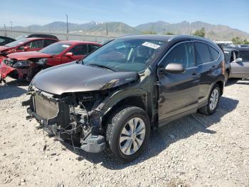 Salvage Honda Crv