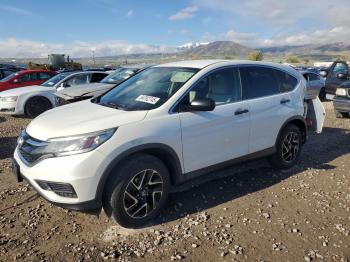  Salvage Honda Crv