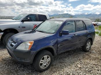  Salvage Honda Crv