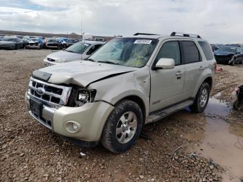 Salvage Ford Escape