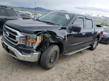  Salvage Ford F-150
