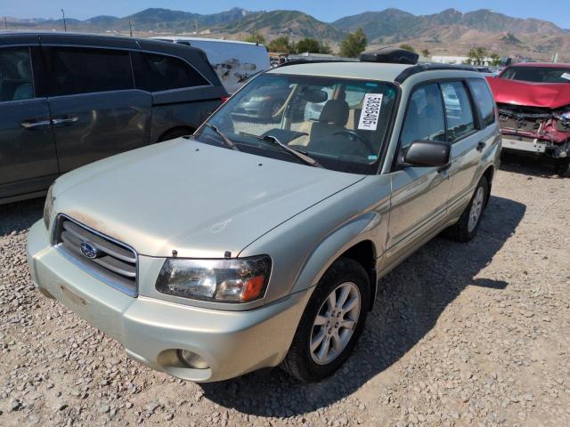 Salvage Subaru Forester