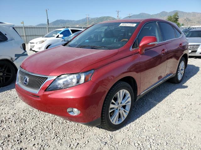  Salvage Lexus RX