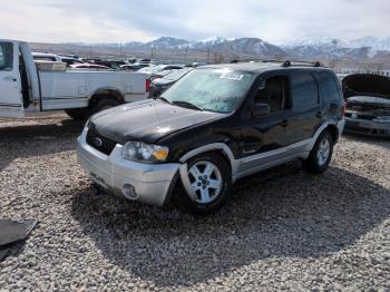  Salvage Ford Escape