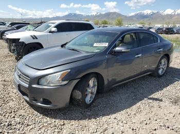  Salvage Nissan Maxima
