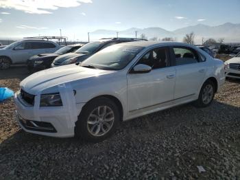  Salvage Volkswagen Passat