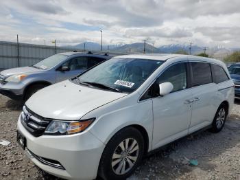  Salvage Honda Odyssey