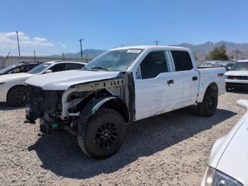  Salvage Ford F-150