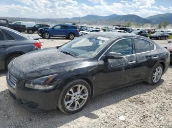  Salvage Nissan Maxima
