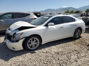  Salvage Nissan Maxima