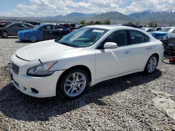  Salvage Nissan Maxima