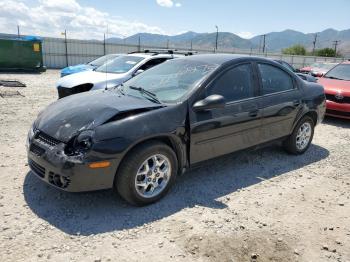  Salvage Dodge Neon