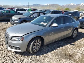  Salvage Audi A4