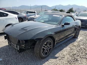  Salvage Ford Mustang