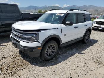 Salvage Ford Bronco