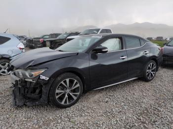  Salvage Nissan Maxima