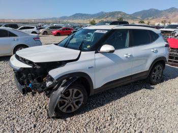  Salvage Kia Seltos