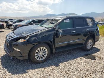  Salvage Lexus Gx