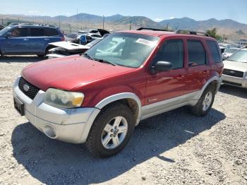  Salvage Ford Escape