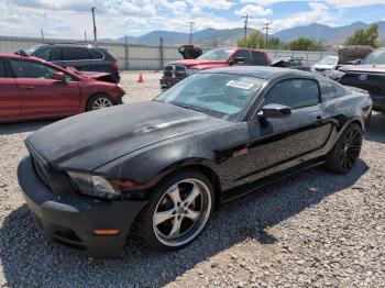  Salvage Ford Mustang