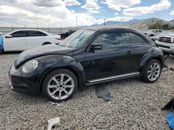  Salvage Volkswagen Beetle