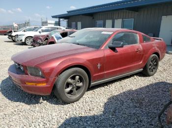  Salvage Ford Mustang