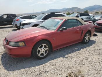  Salvage Ford Mustang