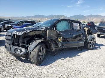  Salvage Ford F-150