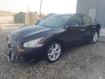  Salvage Nissan Maxima