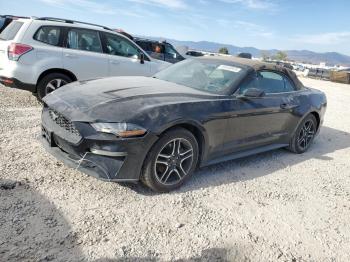  Salvage Ford Mustang