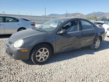  Salvage Dodge Neon