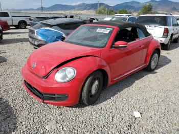  Salvage Volkswagen Beetle