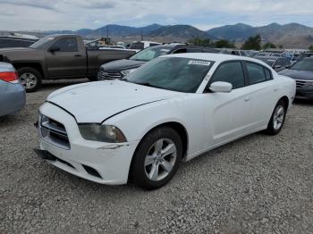  Salvage Dodge Charger