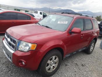  Salvage Ford Escape